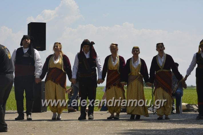 alexandriamou.gr_trikala28.5.2018005